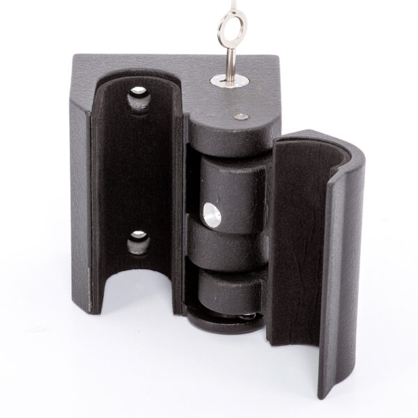 Small Gun Lock - Image 4