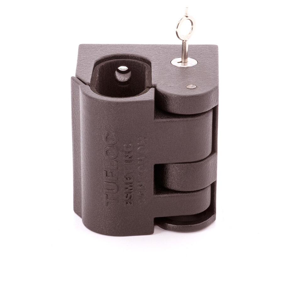 Small Gun Lock - Image 3