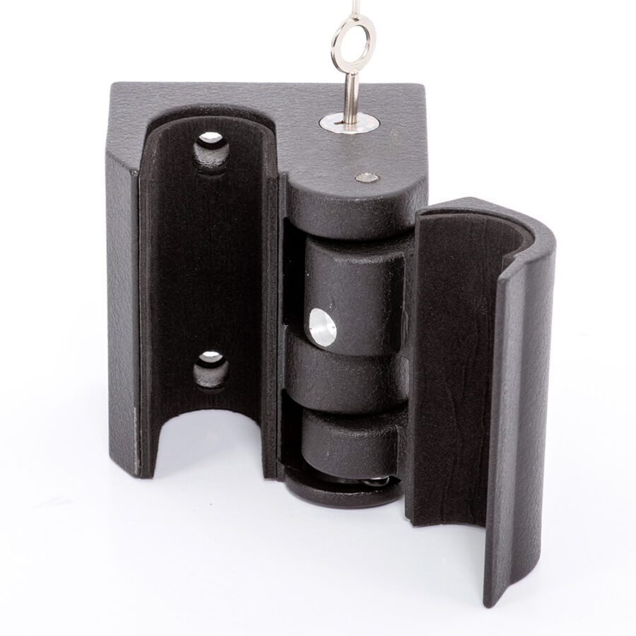 Small Gun Lock - Image 4